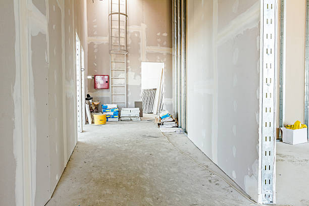 Best Drywall Repair  in Westmere, NY